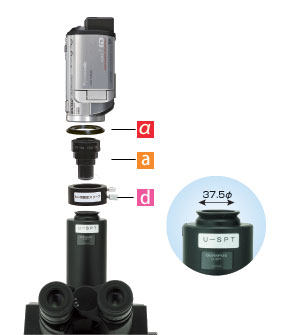 Adapter Installation with Olympus PT phototube